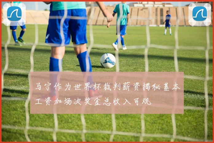 马宁作为世界杯裁判薪资揭秘基本工资加场次奖金总收入可观