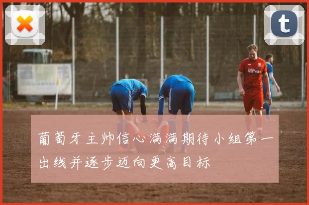 葡萄牙主帅信心满满期待小组第一出线并逐步迈向更高目标