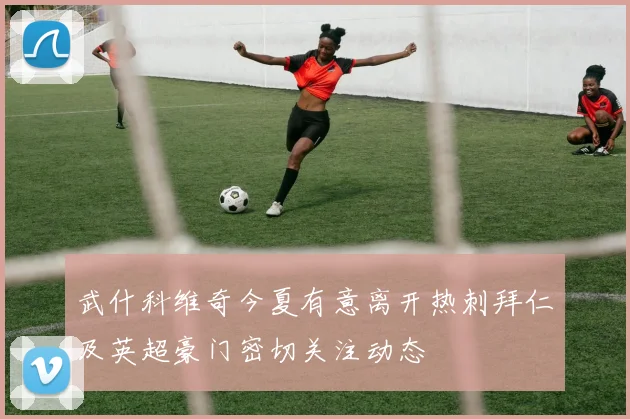 武什科维奇今夏有意离开热刺拜仁及英超豪门密切关注动态
